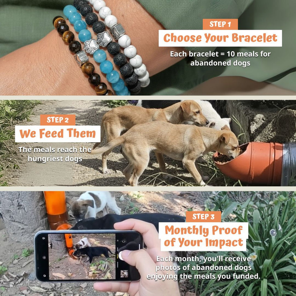 Safari Bracelet