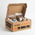 Urgent! Be the Lifeline for Millions of Abandoned Dogs Starving This Winter