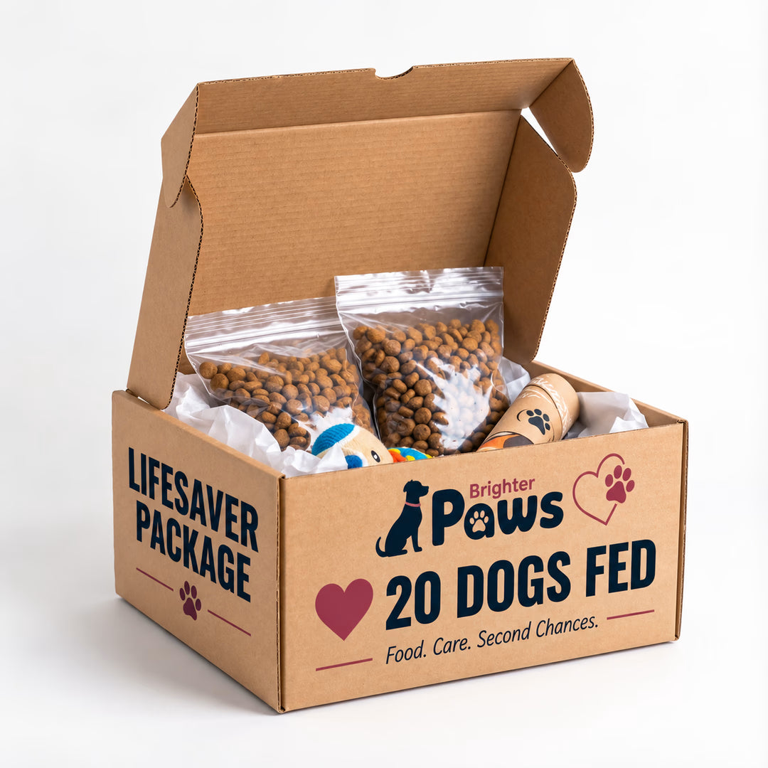Lifesaver Package | Helps Feed 20 Dogs