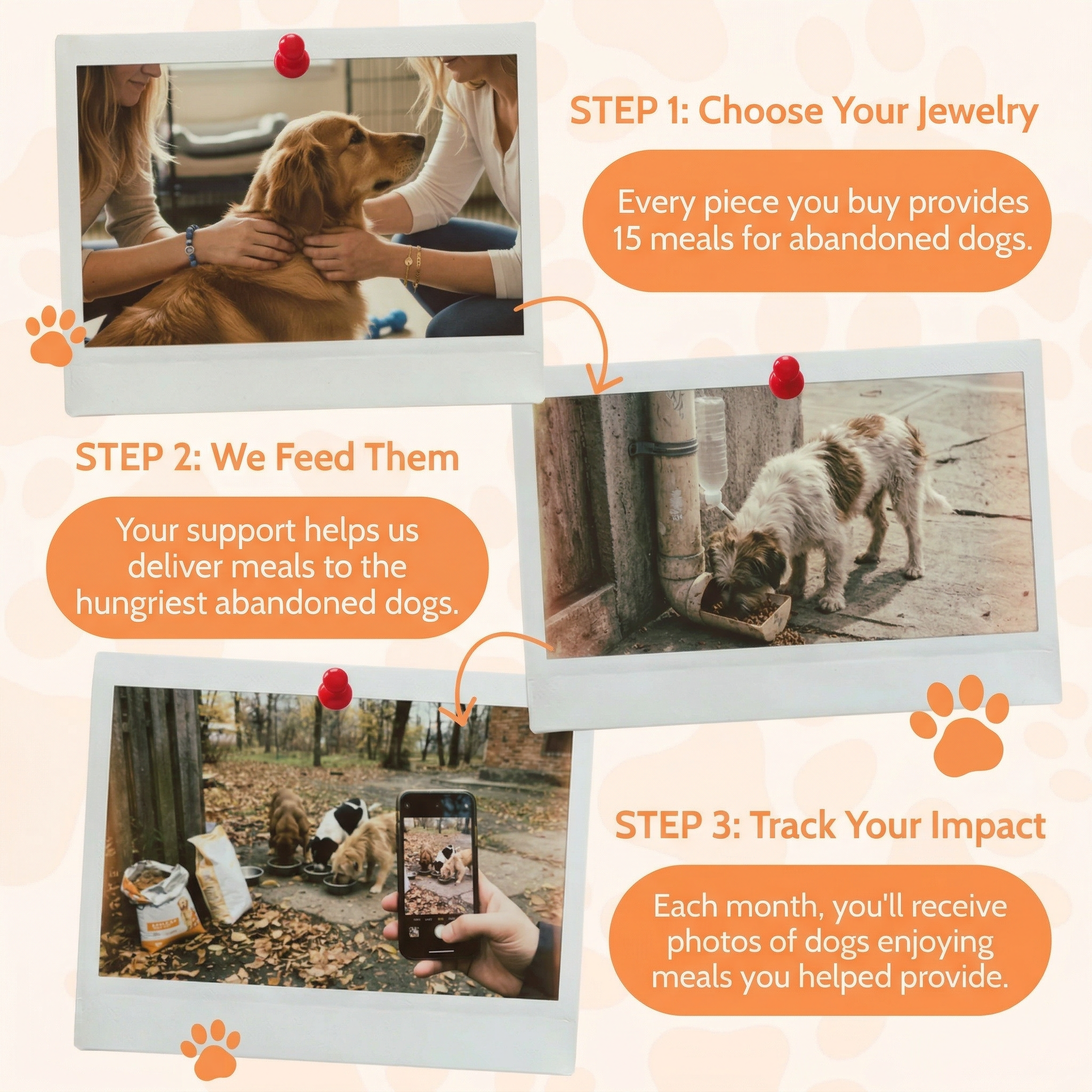 Free Unity Paw Bracelet