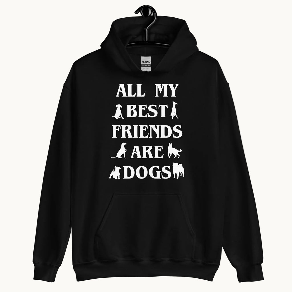 All My Best Friends are Dogs Hoodie