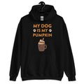 My Dog is My Pumpkin Hoodie